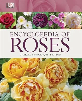 americanbookwarehouse10-869967