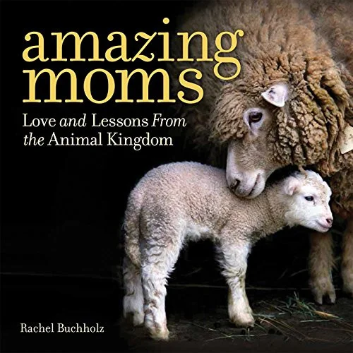 americanbookwarehouse10-875189