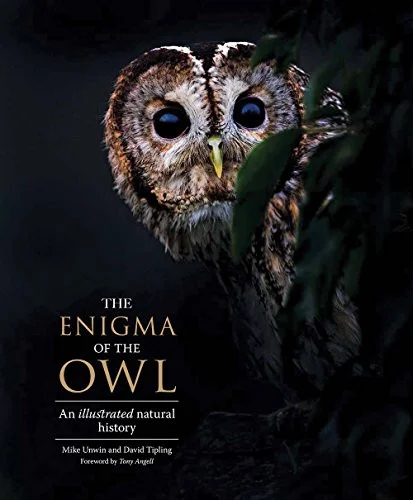americanbookwarehouse10-876209