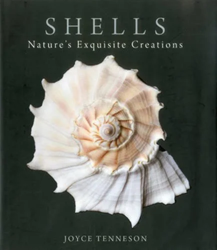 americanbookwarehouse10-877162