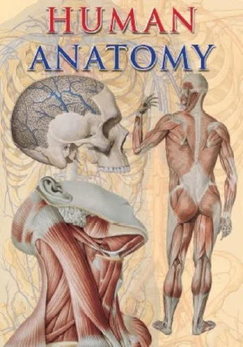 americanbookwarehouse10-879488