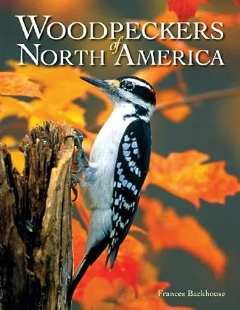 americanbookwarehouse10-884069