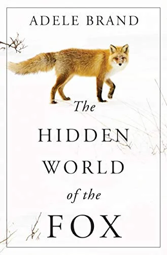 americanbookwarehouse10-884894