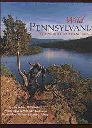 americanbookwarehouse10-889984