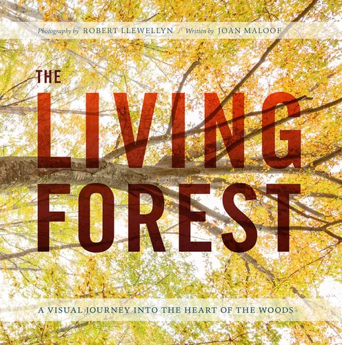 americanbookwarehouse10-893903