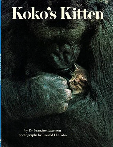 americanbookwarehouse10-894028