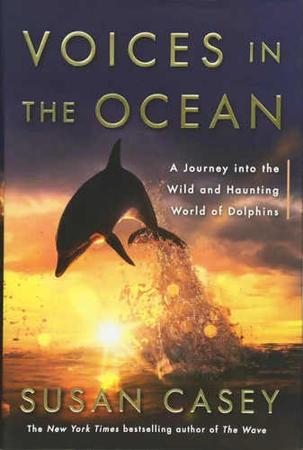 americanbookwarehouse10-895799