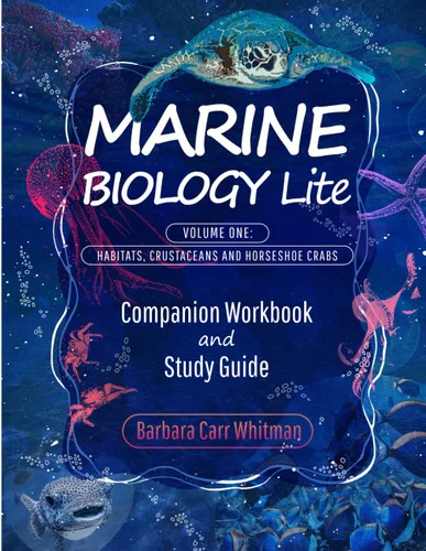 americanbookwarehouse10-916848