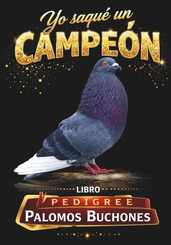 americanbookwarehouse10-923516