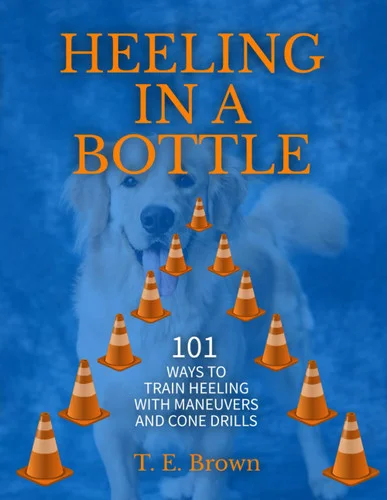 americanbookwarehouse11-1078173