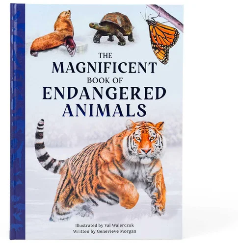 americanbookwarehouse11-1099012