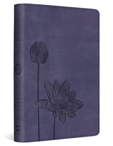 americanbookwarehouse11-1102201