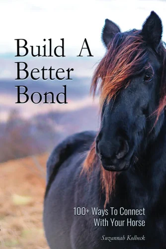 americanbookwarehouse11-1104802