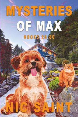 americanbookwarehouse11-1106105
