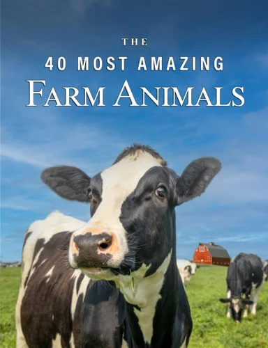 americanbookwarehouse11-1107152