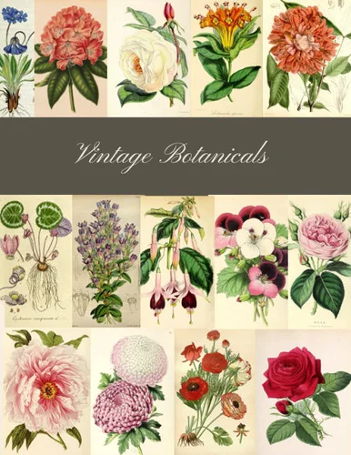 americanbookwarehouse11-1119625