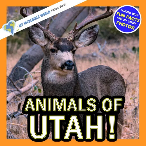 americanbookwarehouse12-1776679