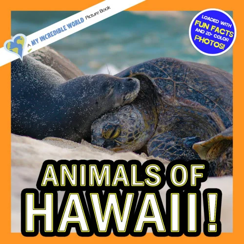 americanbookwarehouse12-1777998