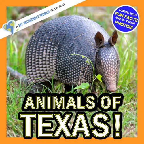 americanbookwarehouse12-1779957