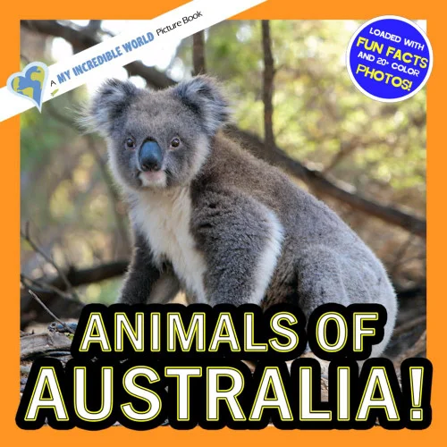 americanbookwarehouse12-1780913