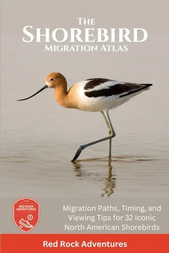 americanbookwarehouse12-1791540