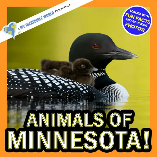 americanbookwarehouse12-1795881