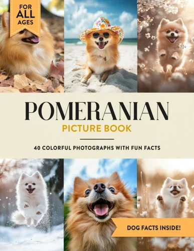 americanbookwarehouse12-1797234