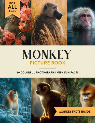 americanbookwarehouse12-1797584