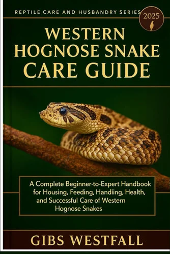 americanbookwarehouse12-1799509