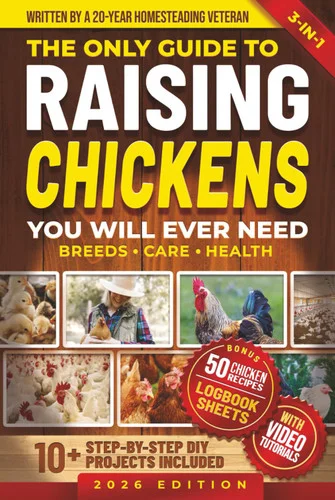 americanbookwarehouse12-1808164