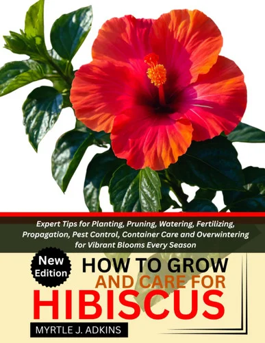 americanbookwarehouse12-1811730