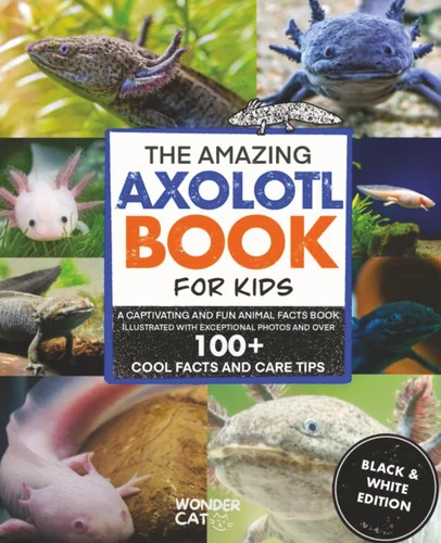 americanbookwarehouse12-1815172