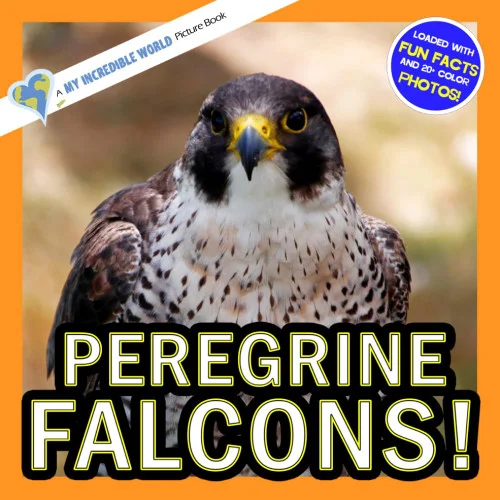 americanbookwarehouse12-1818198