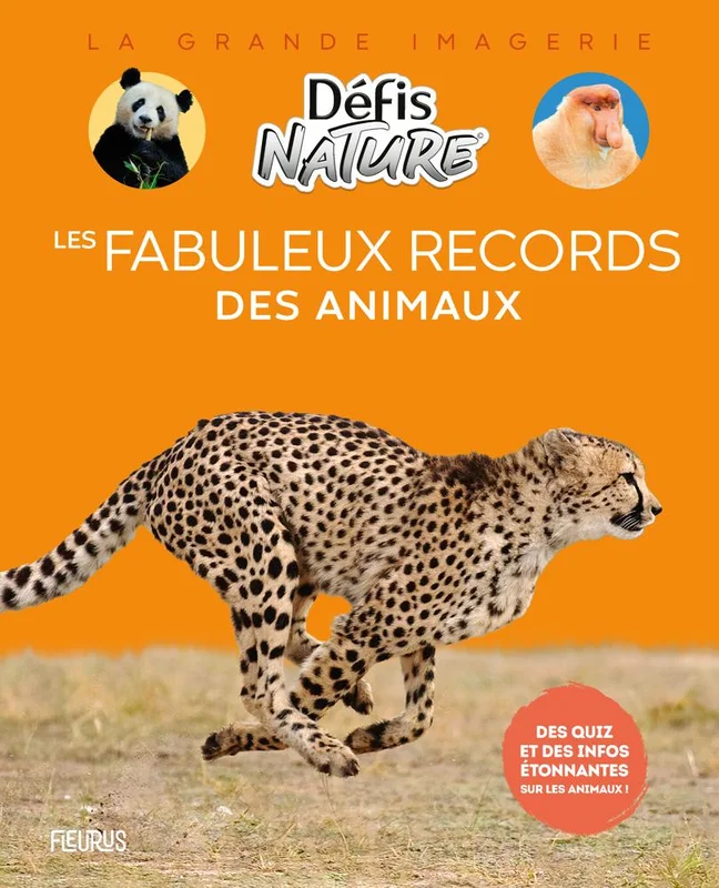 antoineonline10-1485528