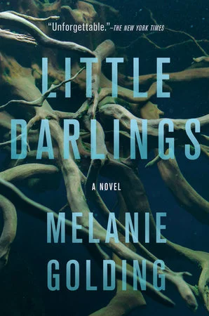 bookcellarinc5-1151352