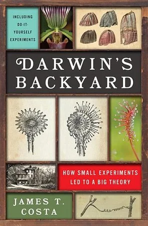 bookcellarinc6-1668527