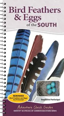 discountmags13-1641661