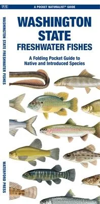 discountmags15-1710401