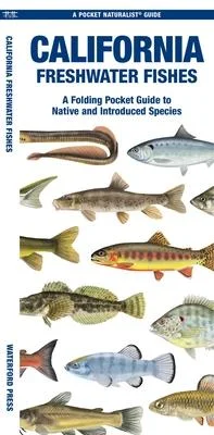 discountmags15-1710422
