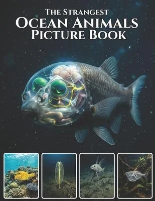 discountmags15-1724917