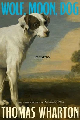 tatteredcover16930065