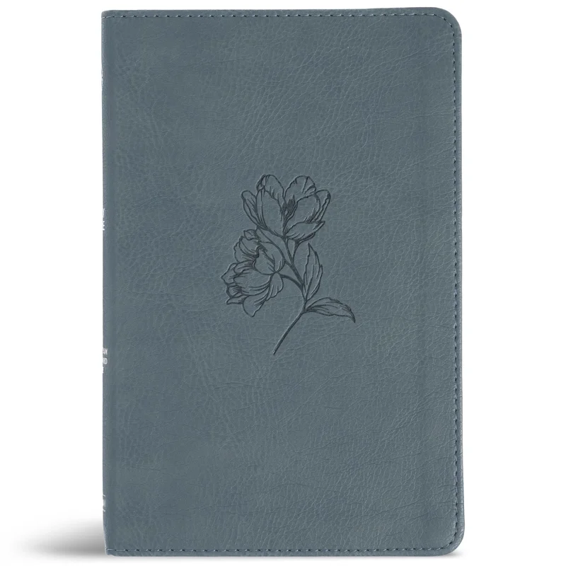 tatteredcover171189975