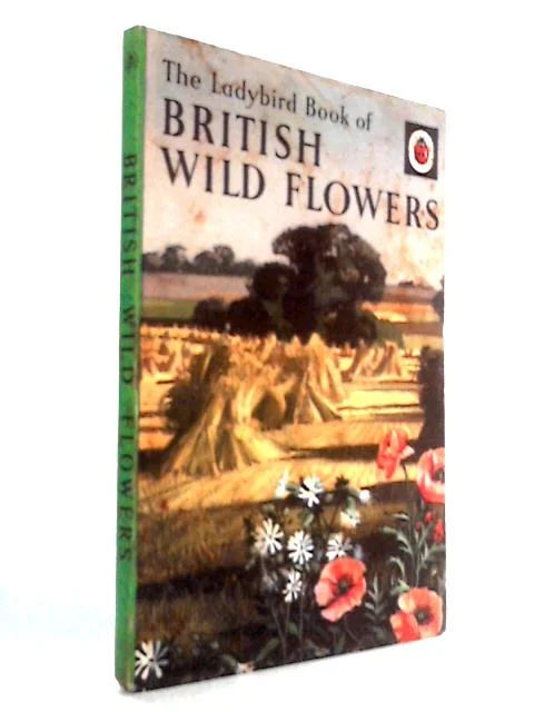 worldofbooks19-1539615