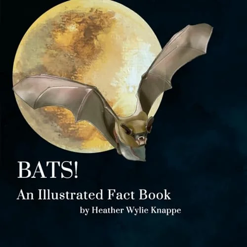 worldofbooks20-1730909
